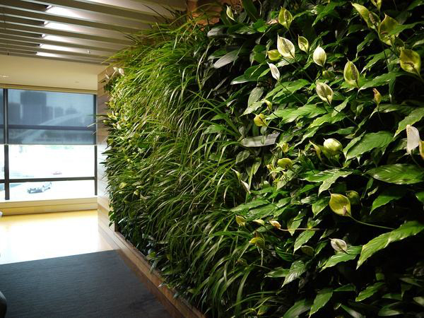 植物墙设计搭建